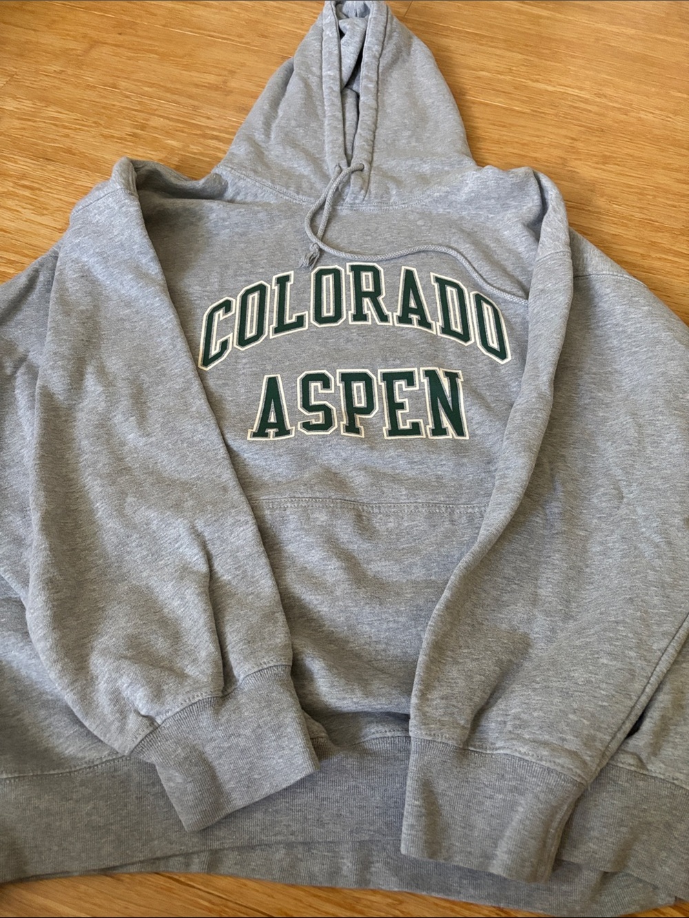 Brandy Melville Gray Hoodie with Green Colorado Aspen Lettering